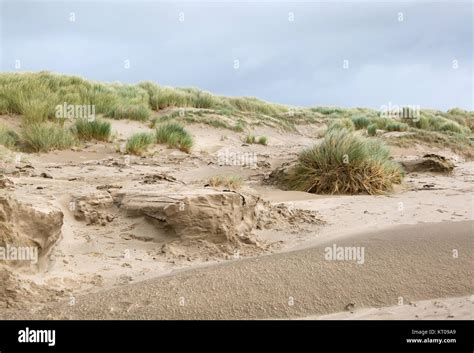 Sand Dunes At Morfa Bychan After Recent Storms Stock Photo Alamy
