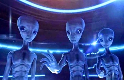 Three Of The Most Influential Alien Species On Earth