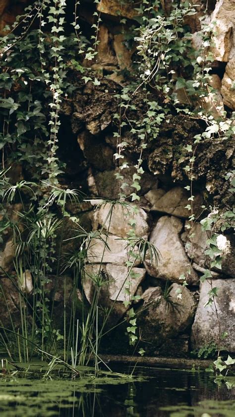 Water Dripping From Stones In Pond An Immersive Guide By Bring Side