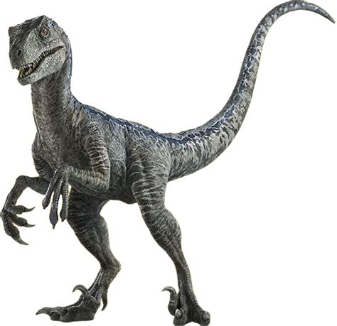 Velociraptor Blue Render 2 By Jurassicworldcards On Deviantart
