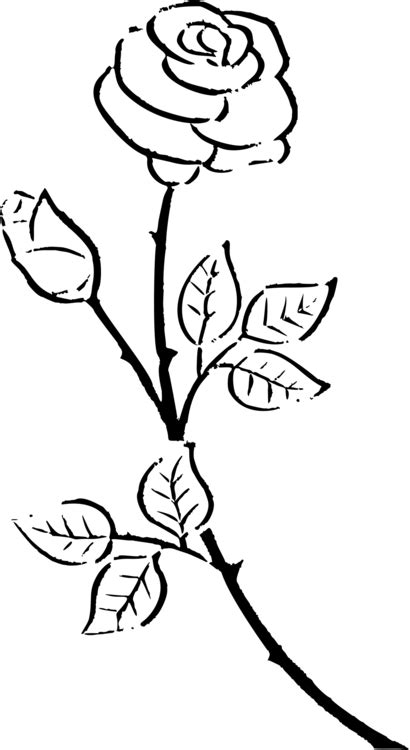 Seamless floral pattern western pattern svg floral digital pattern transparent background cut file instant download eps dxf png pdf ai vinyl. Rose Flower Line Drawing | Free download on ClipArtMag