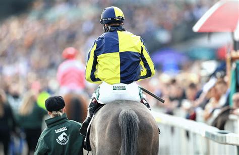Sponsored by randox health, it is a uk handicap steeplechase over 4 miles 514 yards with horses jumping 30 fences over two laps. Grand National Festival Betting Tips & News - MansionBet Blog