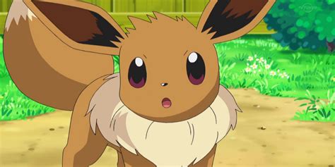 It is the version mascot and starter pokémon for the game pokémon: Pokemon Go: How To Evolve Eevee - Binge Post