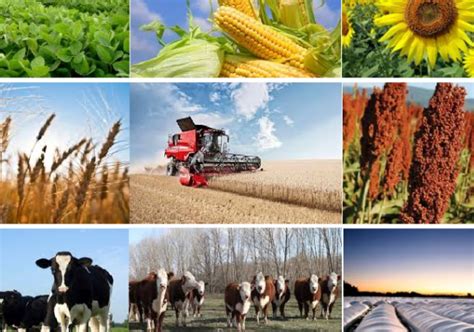 acciones para impulsar el sector agro y garantizar el abasto de alimentos Unión Nacional de