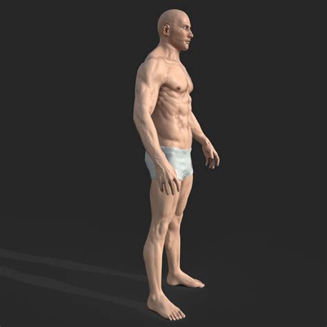 3d Rigged Male Muscular Game Ready Model 3d Model 15 Fbx Obj Unknown Max Free3d