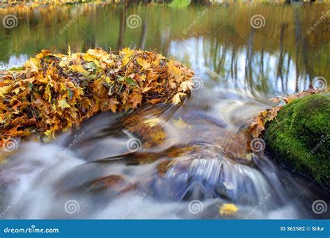 Autumn Leaves And Waterfall Stock Photo Image Of Reflected Heap 362582