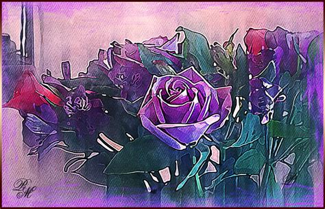 A Rose By Any Other Name By Pammcvey On Deviantart