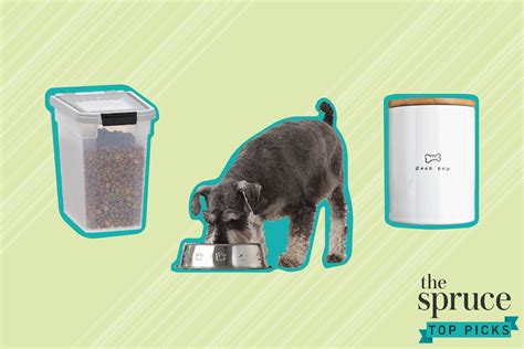 The 8 Best Dog Food Storage Containers Of 2021