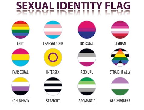 Premium Vector Set Of Flags Of Lgbt Symbols In A Circle Sexual