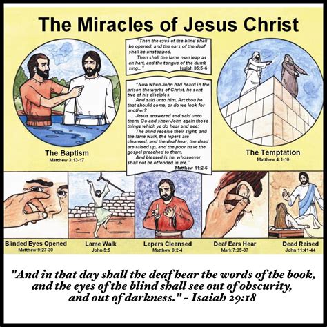 The Miracles Of Jesus Christ Understanding The Bible Bible Stories