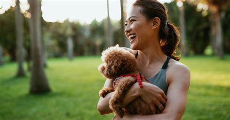 How To Choose The Best Dog Trainer