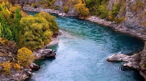 Beautiful Riverscape Rocks Forest Shore River Hd Wallpaper Peakpx