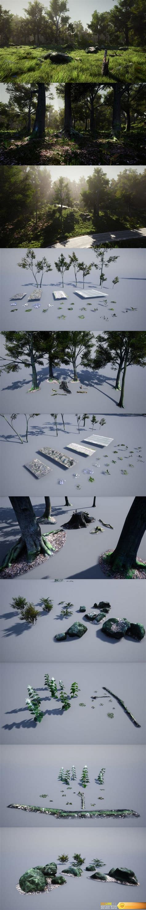 3d Scanned Photo Realistic Forest Landscape Asset Pack All Free 3d