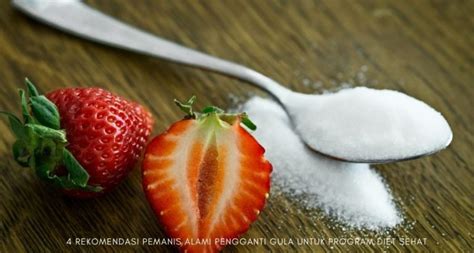 4 Rekomendasi Pemanis Alami Pengganti Gula Untuk Program Diet Sehat