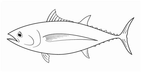 Yellowfin Tuna Fish Coloring Page