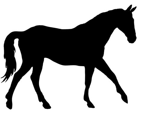 Horse Silhouette Horse Silhouette Horses Horse Stencil