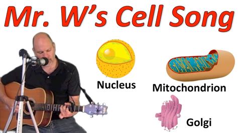 A cell membrane that separates the inside of the cell from the outside. The Cell Song - YouTube