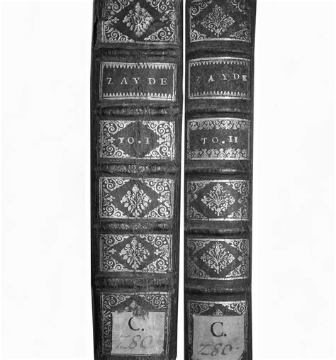 La Princesse De Clèves Garnier Flammarion - Le Bibliomane Moderne : Bibliophilie et autres Bibliomanies: La