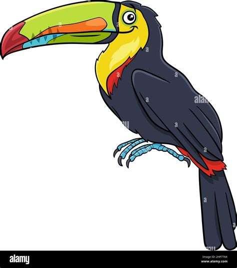 Toucan Bird Animal Character Cartoon Illustration Stock Vector Image