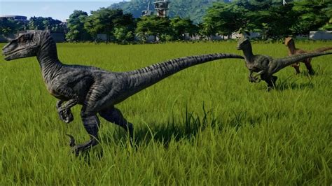 Blue Velociraptor Jurassic World Evolution