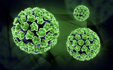 Efficacy in treatment of subclinical cervical hpv infections without cin. HPV virus - Zdravstvena.info