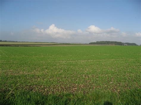 Cloudscape Field And Wood © Roger Gilbertson Geograph Britain And