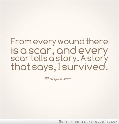 Quotes About Scars Of Life Quotesgram