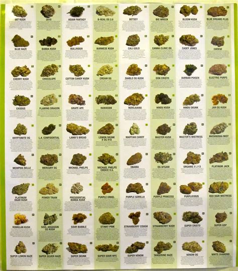 The Oldest Strain Of Weed: A Hybrid Of Two Different Types Of Cannabis