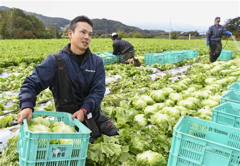 Agriculture Innovating To Secure Future The Japan Times