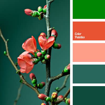 The color (hue) of emeralds ranges from yellowish green to bluish green, with most the green color of emeralds comes from the presence of trace quantities of chromium (usually) and brazilian emeralds typically have a slight brown or gray cast and only sometimes match the pure green hue. light coral | Color Palette Ideas