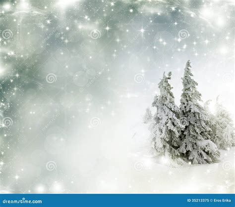 Christmas Background With Stars And Snowy Fir Trees Stock Image Image