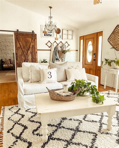 Farmhouse Living Room Carpet Ideas