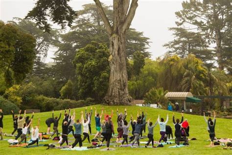this peaceful outdoor yoga series is back on at sf botanical garden secret san francisco