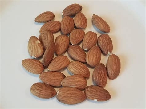 Nuts A Healthy Snack For Kids Happy Mom Hacks