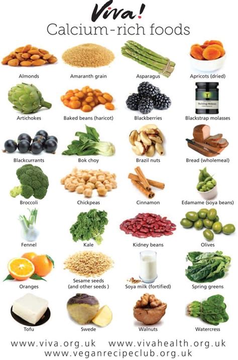 Vegan Calcium Sources Chart
