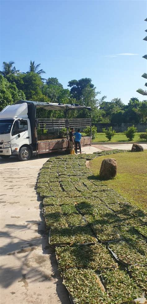 The cheapest way to get from kuala besut to kota bharu costs only rm 12, and the quickest way takes just 53 mins. Penghantaran pearl grass ke kota bharu | PEMBEKAL RUMPUT