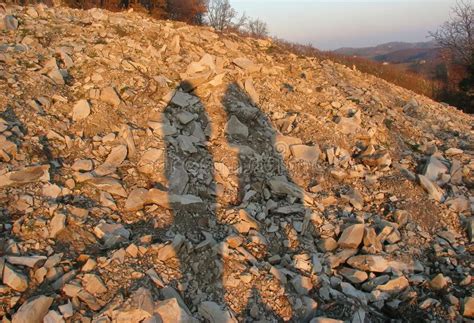 Long shadows of camel caravan, erg chebbi, sahara desert, merzouga, morocco. Shadow Of People Sitting On The Camel In Sahara Desert ...