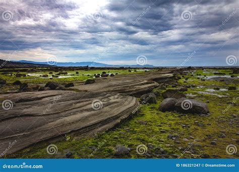 Sandstone Shale Rock Formation At Low Tide Stock Image Image Of Rock
