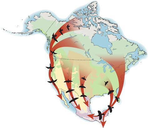 News Room State Of North Americas Birds 2016