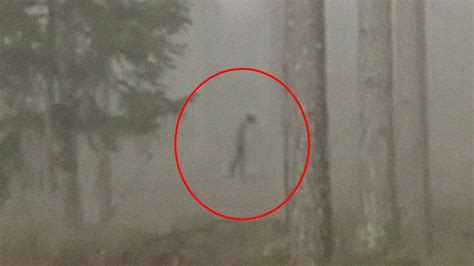 Alien Sighting Or Real Ghost Sighting Two Alien Like Creature Caught