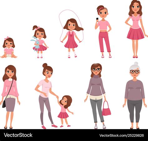 Life Cycles Woman Stages Growing Up From Vector Image