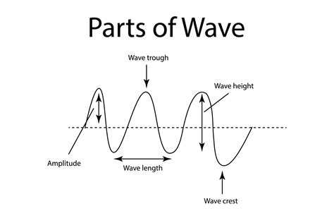Waves Of The Basic Properties Vector Illustration Parts Of A Wave