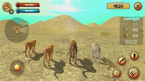 Wild Cheetah Sim 3d Android Gameplay 5 Youtube