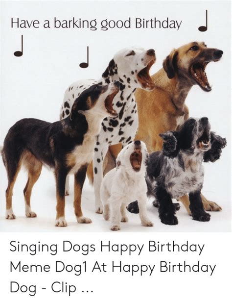 Have A Barking Good Birthday Singing Dogs Happy Birthday Meme Dog1 At