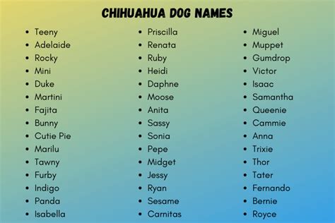 Chihuahua Dog Names 500 Awesome Chihuahua Dog Names List 2024