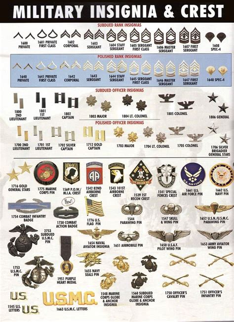 Us Military Divisions Of The Us Military