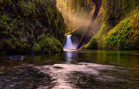 781303 Rivers Waterfalls Forests Moss Rare Gallery Hd Wallpapers