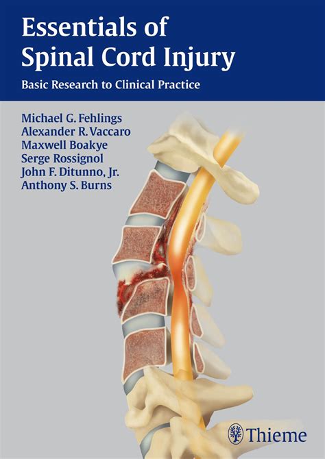 Essentials Of Spinal Cord Injury 9781604067262 Thieme Webshop