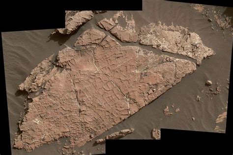 Nasa Finds Evidence Of Ancient Lake On Mars That Could Have Harboured
