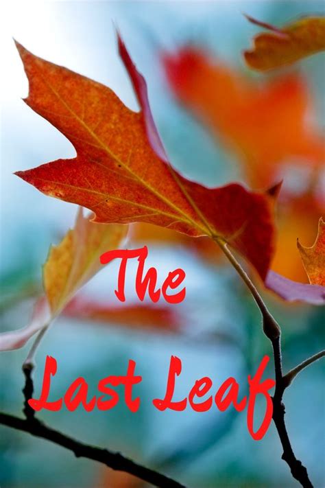 🌈 Synopsis Of The Last Leaf By O Henry Last Leaf 2022 10 19